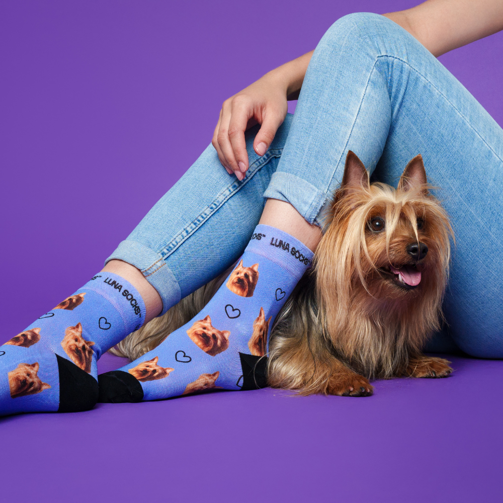 Custom Pet Socks