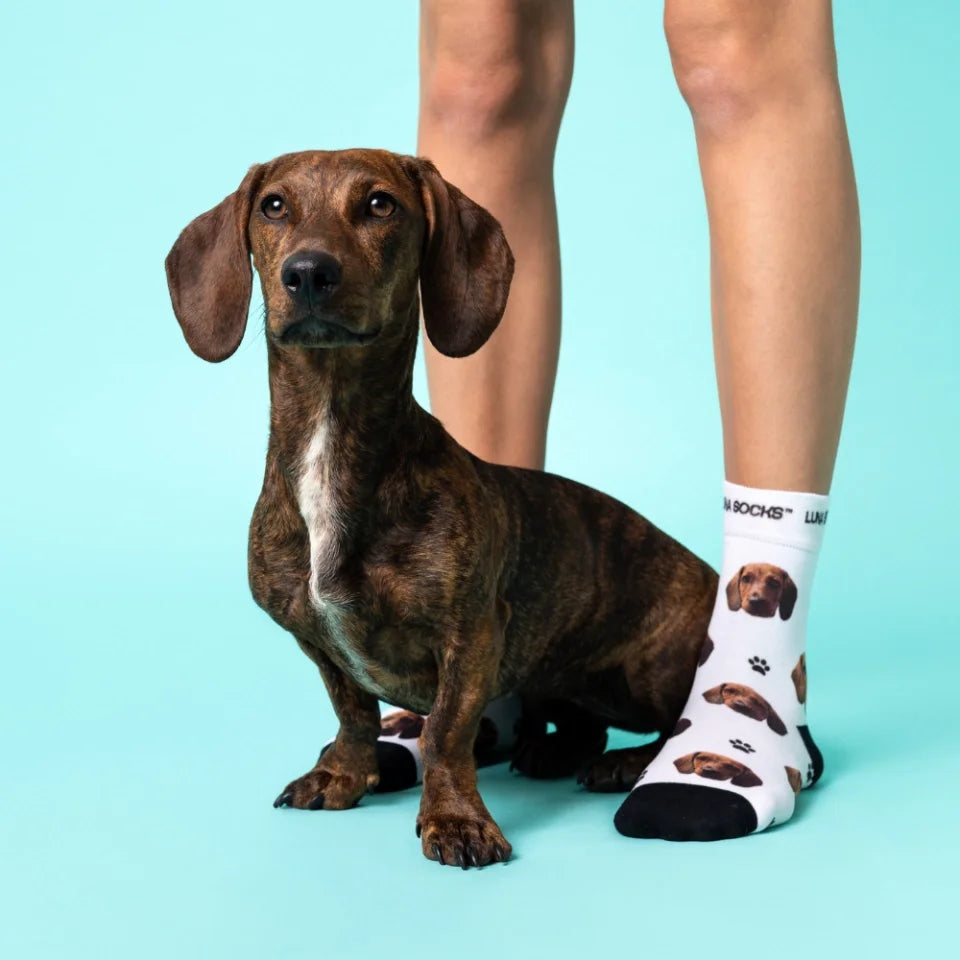 Custom Pet Socks