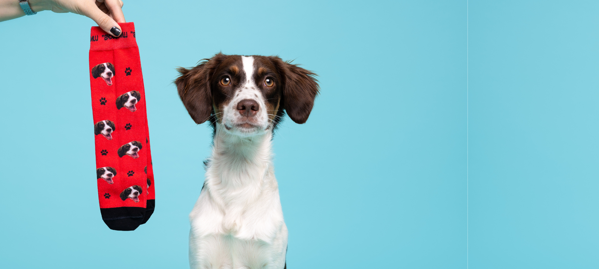 Personalized socks with your dog